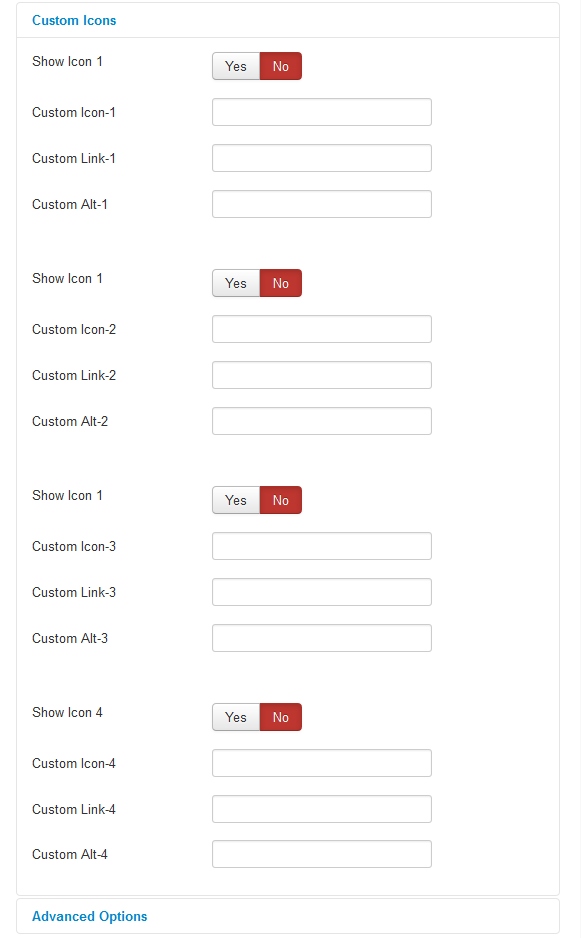 Options Custom Icons